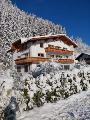 Apart Dahuam Aschau Im Zillertal